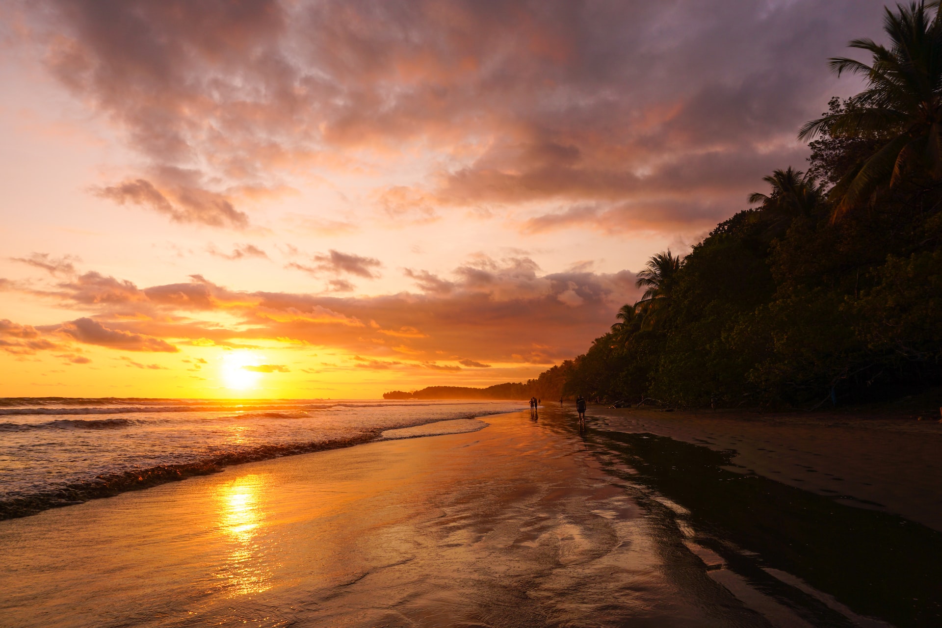 6 Things To Do In Costa Rica