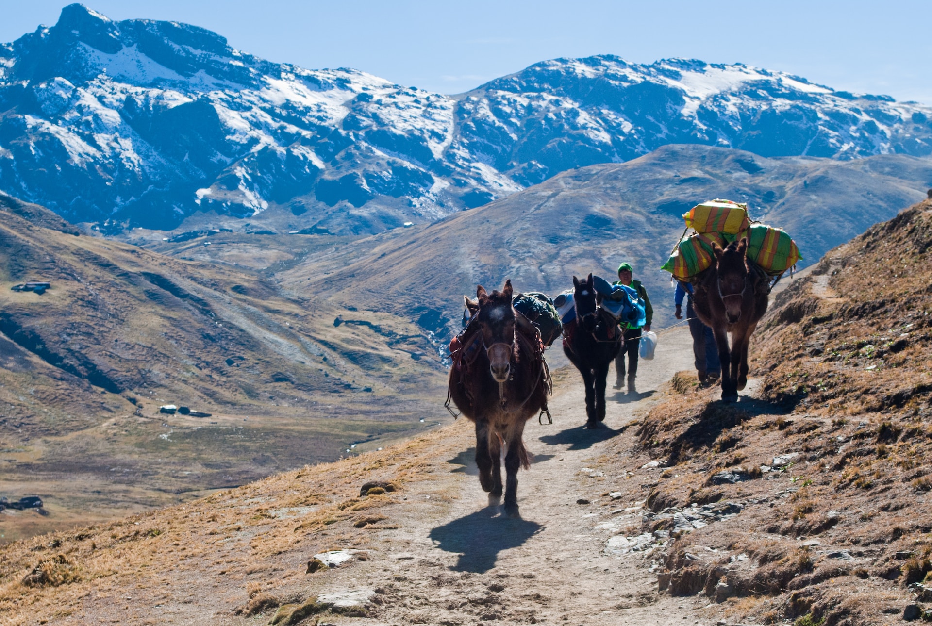 Discover The Best Of South America: From The Andes To The Galapagos On An Adventure Tour